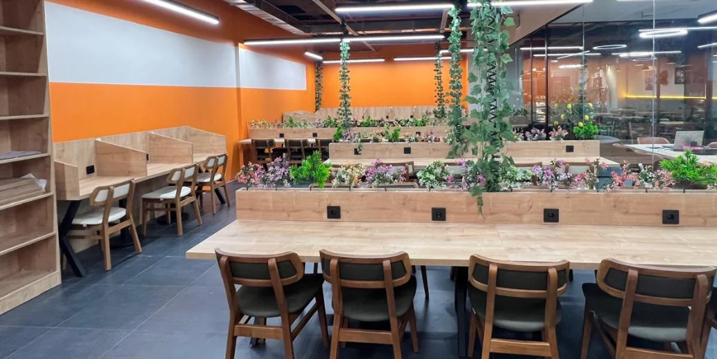 Baykuş Kafe Kütüphane Mekan